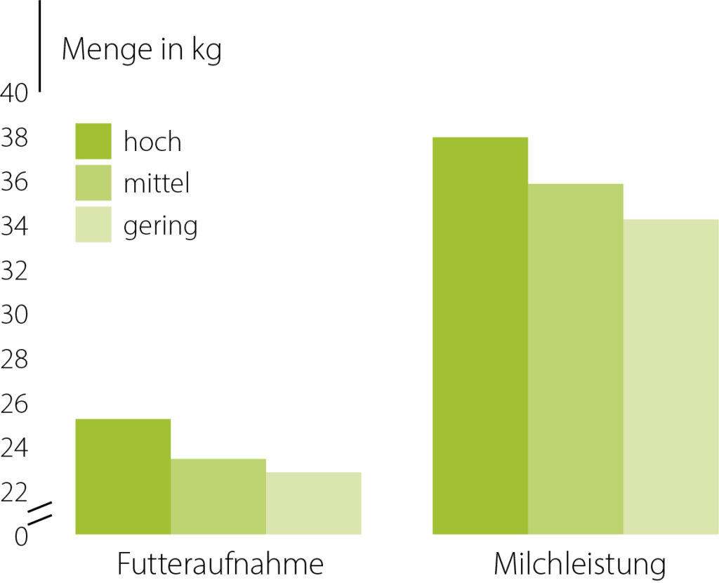 Fütterungsfehler